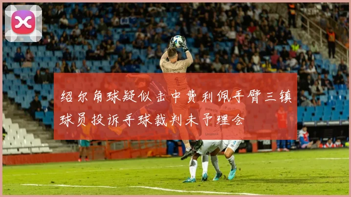 绍尔角球疑似击中费利佩手臂三镇球员投诉手球裁判未予理会